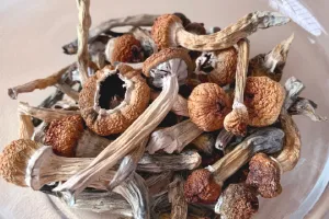 Mushrooms